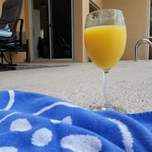 Meet your Posher, Gloria